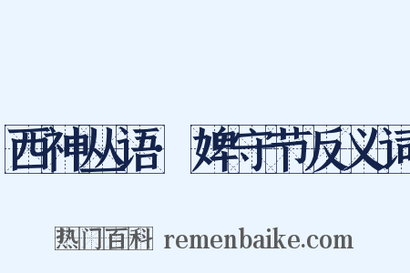 西神丛语·婢守节反义词是什么意思的图片